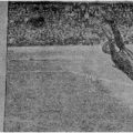1955-04-17 (20) Газета Лело. Самоотверженный прыжок ленинградского голкипера не спас ворота от гола. Фото М. Заргаряна.